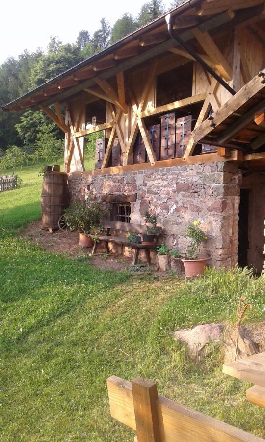 Eichernhof Apartment Apfelblüte Voran Exterior foto